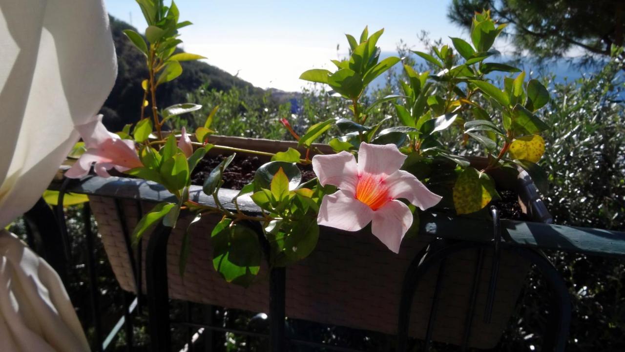 Couette-café La Casa Dei Limoni